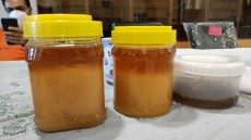  دامپروری | عسل عسل طبی و بدون شکر