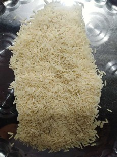  غلات | برنج برنج فجر سوزنی ممتاز