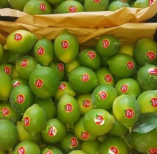  میوه | لیمو ترش عمانی