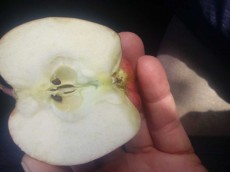  میوه | سیب ویژه