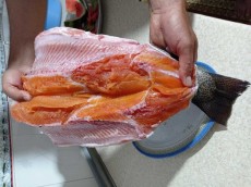  مواد پروتئینی | ماهی سالمون