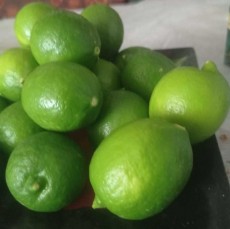  میوه | لیمو ترش لیمو ترش وآبلیو ولیمو خشک