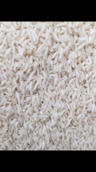  غلات | برنج برنج درجه 1 هاشمی