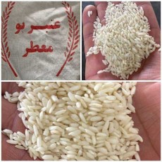 غلات | برنج طارم درباری  عنبر بو صدری هاشمی