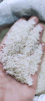 غلات | برنج شمیم هاشمی