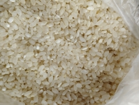  غلات | برنج برنج گرده شمال