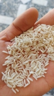  غلات | برنج برنج طارم مازندران با پخت عالی