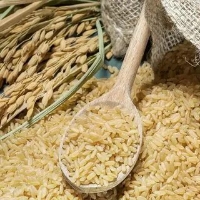  غلات | برنج علی کاظمی صدری
