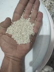  غلات | برنج نیم دانه آردی طارم عطری