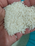  غلات | برنج برنج هاشمی الک و سورت شاهانه