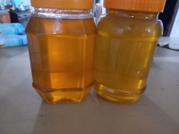  دامپروری | عسل عسل چند گیاه