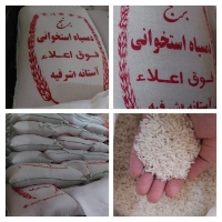  غلات | برنج عنبربو دم سیاه آستانه پاکستانی مسکین