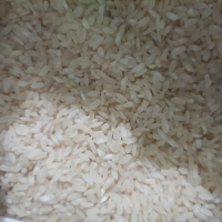  غلات | برنج برنج کامفیروزی
