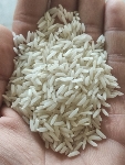  غلات | برنج برنج هاشمی ممتاز