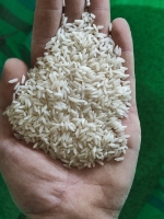  غلات | برنج برنج طارم بهنام کشت اول سورت شده