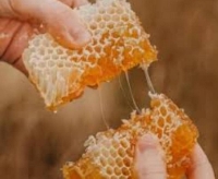  دامپروری | عسل عسل مرغوب سنتی