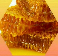  دامپروری | عسل عسل طبیعت سبلان