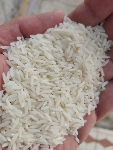  غلات | برنج هاشمی درجه یک گیلان