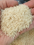  غلات | برنج برنج فجر فوق اعلاء