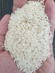  غلات | برنج برنج هاشمی گیلان اعلاء