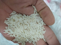  غلات | برنج برنج دم سیاه
