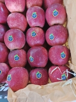  میوه | سیب سیب قرمز صادراتی
