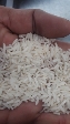  غلات | برنج برنج طارم محلی وارش