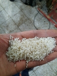  غلات | برنج سرلاشه هاشمی