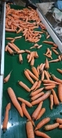  صیفی | هویج هویج مربایی و شکسته