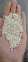  غلات | برنج برنج شیرودی و ندا