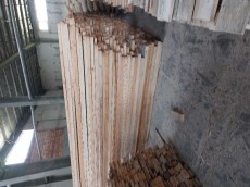  مصالح ساختمانی | چوب چوب روسی نراد وارداتی