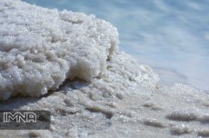  چاشنی و افزودنی | نمک نمک شکری و دریایی