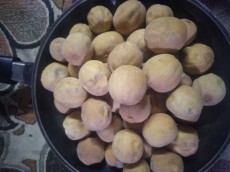  میوه | لیمو ترش لیمو ترش خشک عمانی