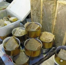  دامپروری | عسل عسل با شرایط صادرات
