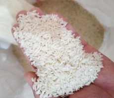  غلات | برنج برنج درجه یک عنبر بو