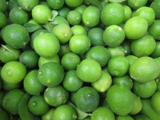  میوه | لیمو ترش لیمو ترش