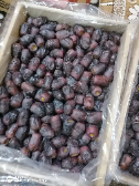  میوه | خرما مضافتی صادراتی