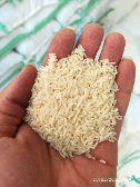  غلات | برنج دم سیاه اعلا و فجر سوزنی