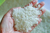  غلات | برنج برنج فجر درجه 1 بوجاری