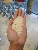  غلات | برنج برنج ایرانی صدری ممتاز خالص امساله