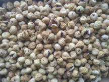  خشکبار | میوه خشک انجیر خشک صادراتی