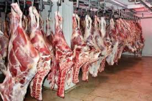  مواد پروتئینی | گوشت گاو و گوساله