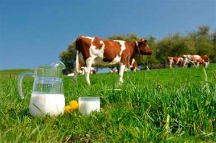  لبنیات | شیر شیر خام صنعتی