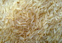  غلات | برنج برنج درجه یک هندی
