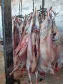  مواد پروتئینی | گوشت گوشت گوساله گوسفندی گرم بسته بندی