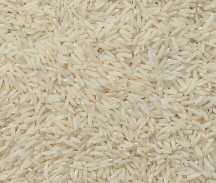  غلات | برنج انواع برنج هاشمی فجر شیرودی