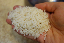  غلات | برنج طارم هاشمی کشت دوم