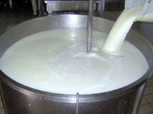  لبنیات | شیر خام صنعتی