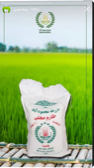  غلات | برنج طارم هاشمی کشت اول