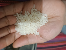  غلات | برنج طارم اعلا کشت دوم